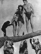 Biografia de Johnny Weissmuller