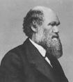 Biografia de Charles Robert Darwin